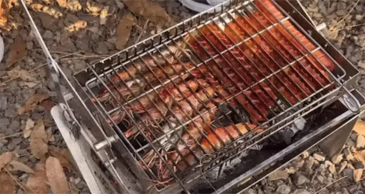 Dreh- und Klappgrill löst Camping-Wahn der koreanischen Welle aus